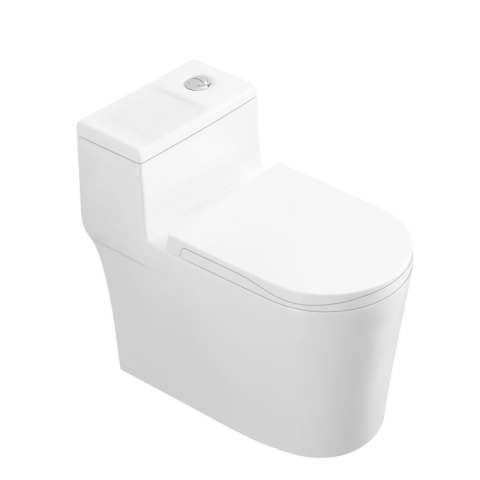 Bệt vệ sinh liền khối W005